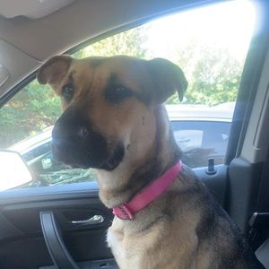 Meet your Posher, Kelsey